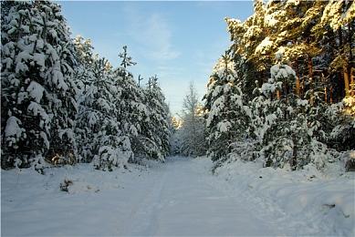 《烽火与炊烟》已完成70% 开发只有夫妻两人